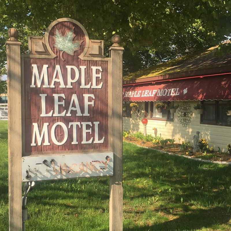 Maple Leaf Motel - Vintage Postcard (newer photo)